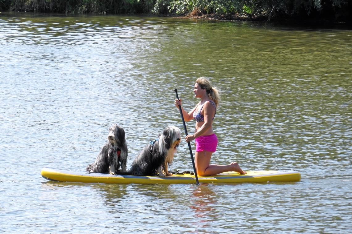 Stand-up-Paddling-Eldorado am Aichstrutsee Nicht wenige sind auch mit ihren Vierbeinern paddelnd auf dem See anzutreffen. Dieses Trio ist beeindruckend souverän unterwegs.