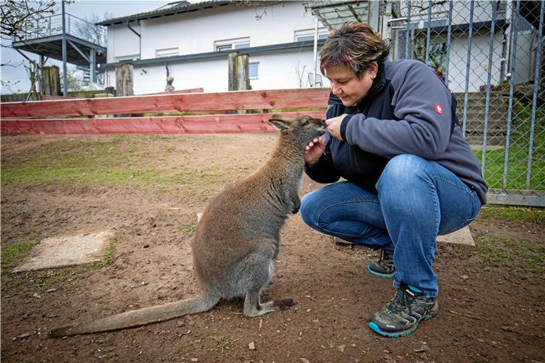 Nicole Gräsing hat Känguru Emma mit der Flasche großgezogen. Das war mehr Aufwand als bei einem Menschenbaby, erinnert sich die tierbegeisterte Pflegemutter. Sie und ihr Mann Falk halten in Althütte neben 15 Wallabys auch Emus, Alpakas und Hühner. Fotos: A. Becher