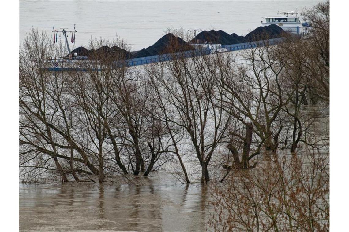 Höchste Warnstufe: Deutschland wappnet sich für Wintersturm Niederschläge und Tauwetter in den Bergen sorgen zugleich vielerorts für Hochwasser - hier am Rhein in Köln, wo ein Frachter zwangsweise ankern muss. Foto: Henning Kaiser/dpa