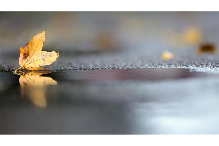 Noch hält sich die herbstliche Zweiteilung beim Wetter in Deutschland. (Archivbild)