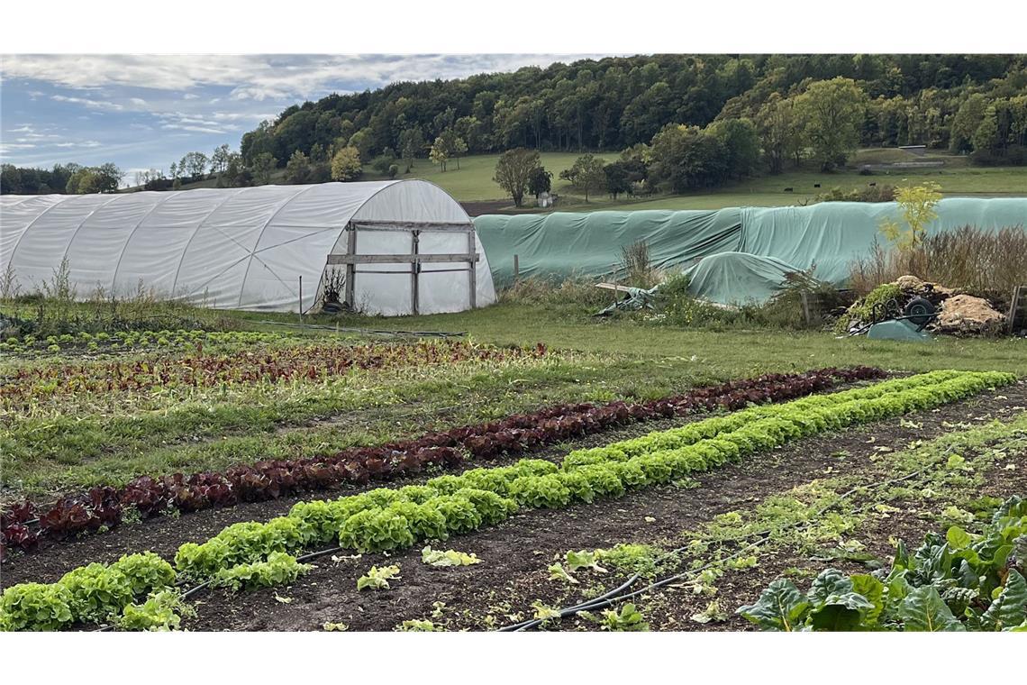 Noch wird in der deutschen Landwirtschaft nur wenig bewässert – doch der Trend ist klar: Es wird immer mehr.