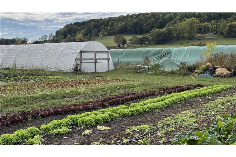 Noch wird in der deutschen Landwirtschaft nur wenig bewässert – doch der Trend ist klar: Es wird immer mehr.
