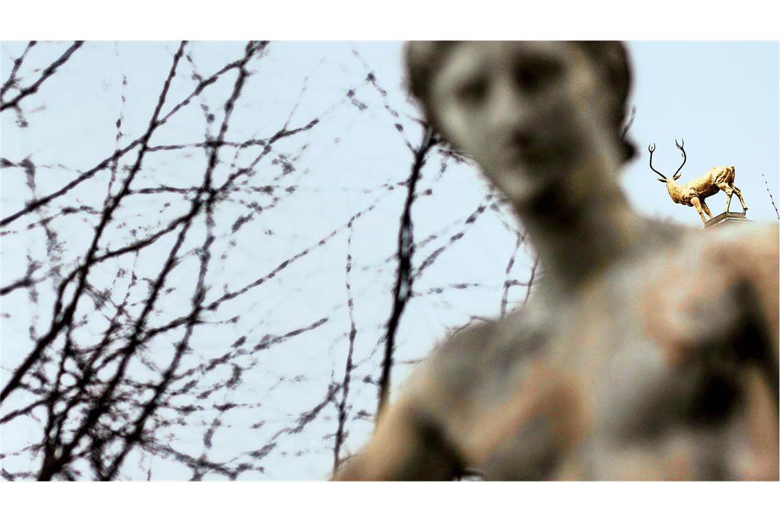 So feiert man 200 Jahre Kunstverein! NOH Suntag, Deer, 2008