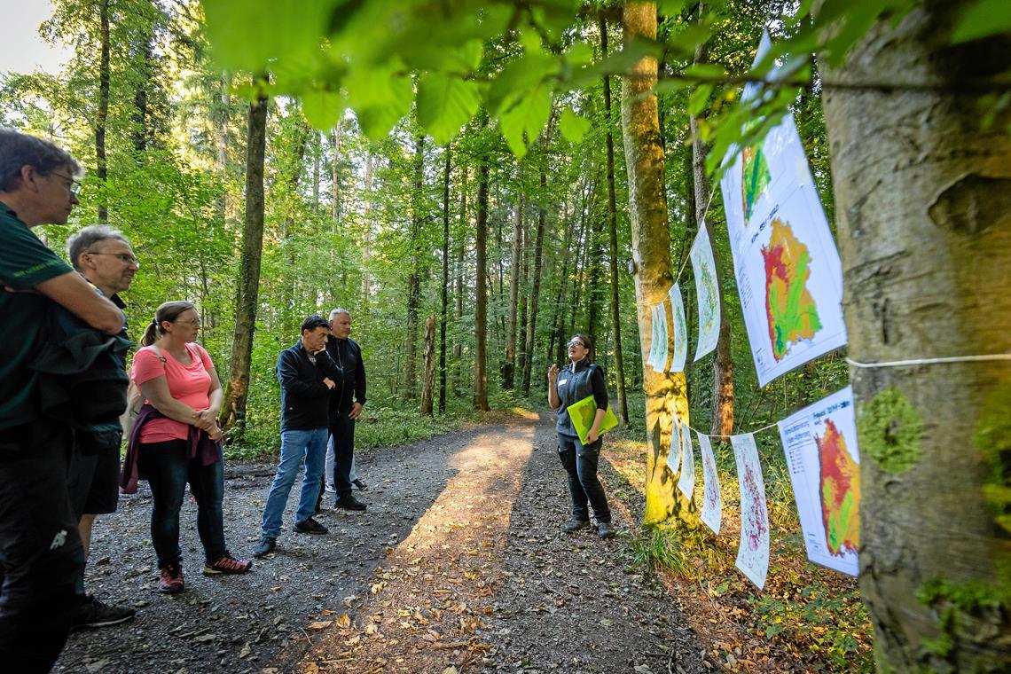 Nora Walbrun von ForstBW (rechts) erklärt anhand von Baumeignungskarten den Zustand des Waldes. Von links: Revierleiter HansJoachim Bek, Martin Hinderer, Susanne Schmitz, Lutz Bensinger und Björn Michel. Foto: Alexander Becher
