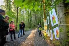 Nora Walbrun von ForstBW (rechts) erklärt anhand von Baumeignungskarten den Zustand des Waldes. Von links: Revierleiter HansJoachim Bek, Martin Hinderer, Susanne Schmitz, Lutz Bensinger und Björn Michel. Foto: Alexander Becher