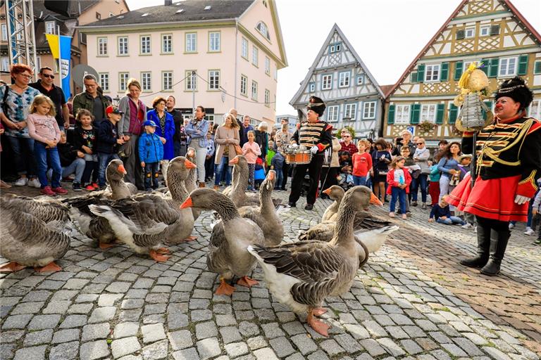 Normalerweise sind sie die Hauptattraktion des gleichnamigen Markts: die Gänse. Auf sie wird in diesem Jahr verzichtet. Archivfoto: A. Becher