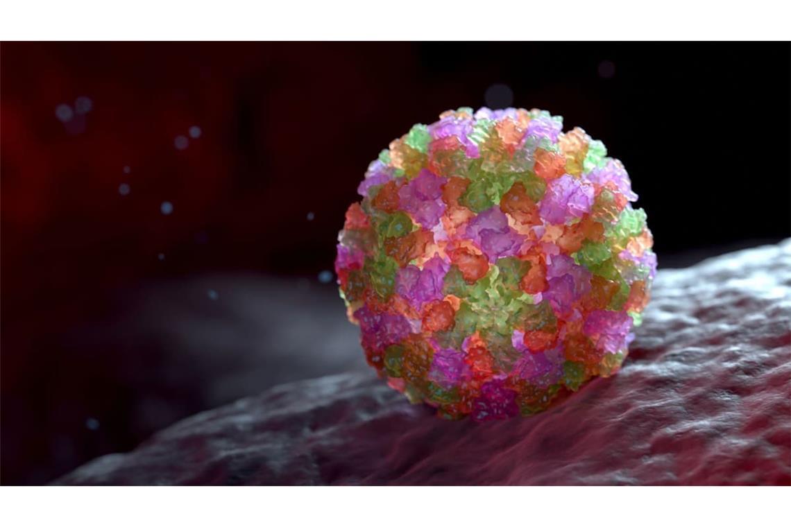 Norovirus