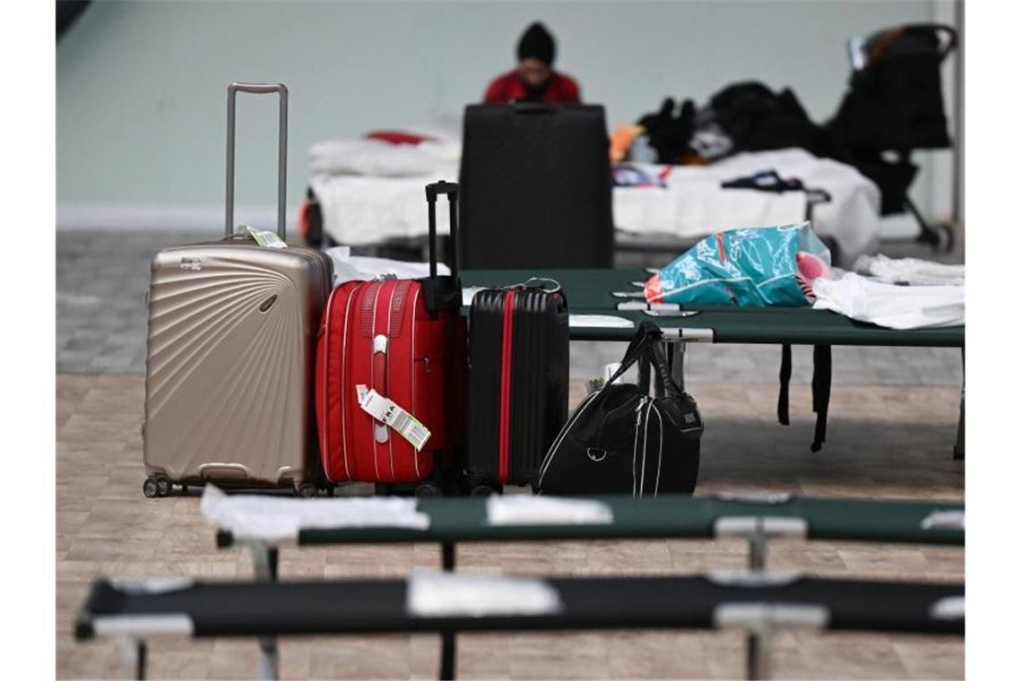 Notbetten stehen in einer Frankfurter Sporthalle für ukrainische Kriegsflüchtlinge bereit. Foto: Arne Dedert/dpa