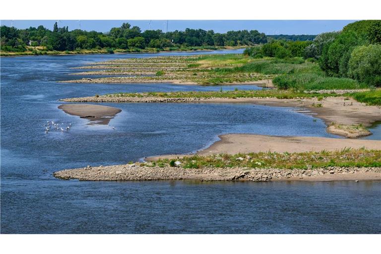 Nun müssen die EU-Länder noch mit dem Europaparlament verhandeln.(Archivbild)