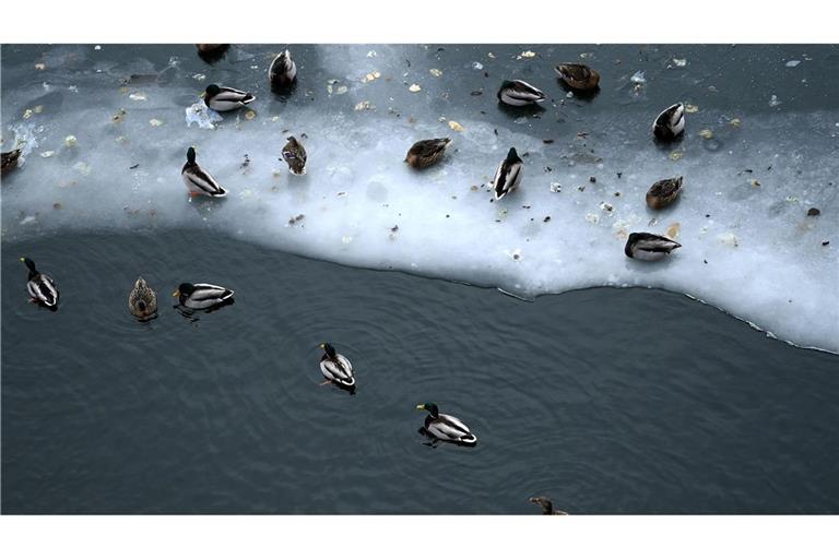 Nun steht vor allem dem Osten Deutschlands Glatteis-Gefahr bevor.