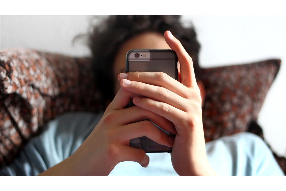 Falschinformationen im Netz werden nur selten erkannt Nur ein Viertel der Internet-Nutzer in Deutschland traut sich zu, Falschinformationen im Netz zu erkennen.
