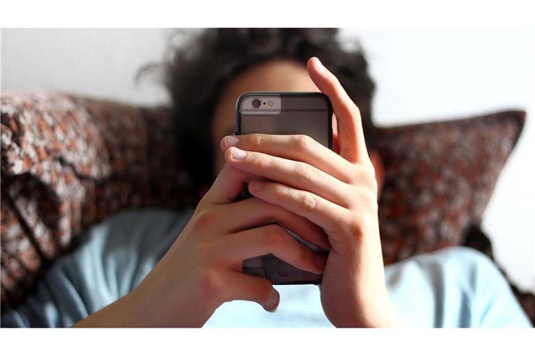 Nur ein Viertel der Internet-Nutzer in Deutschland traut sich zu, Falschinformationen im Netz zu erkennen.