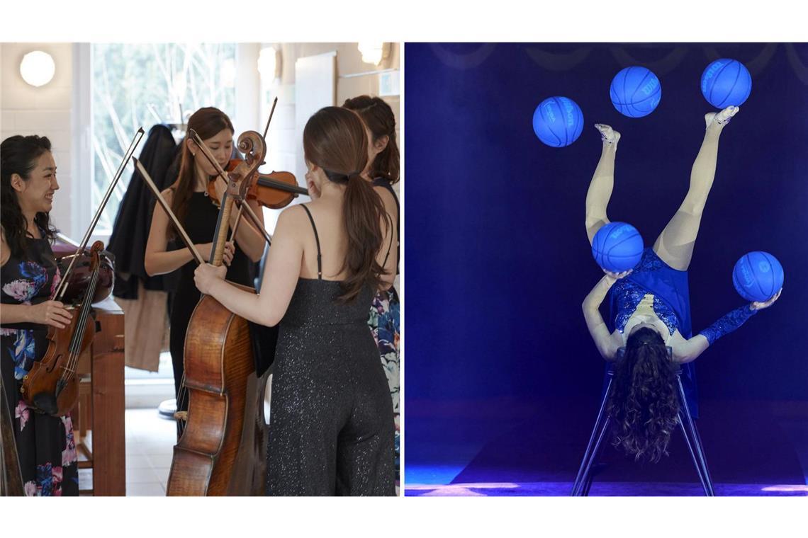 Ob auf der Musikbühne oder in der Zirkusmanege: Freiberufliche Künstlerinnen verdienen deutlich weniger als ihre männlichen Kollegen.