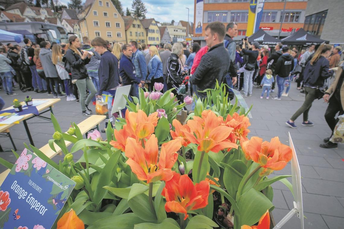 Etliche Veranstaltungen bereits abgesagt Ob der Backnanger Tulpenfrühling des Stadtmarketingvereins am Sonntag, 29. März, stattfinden wird, steht noch in den Sternen. Fotos: A. Becher