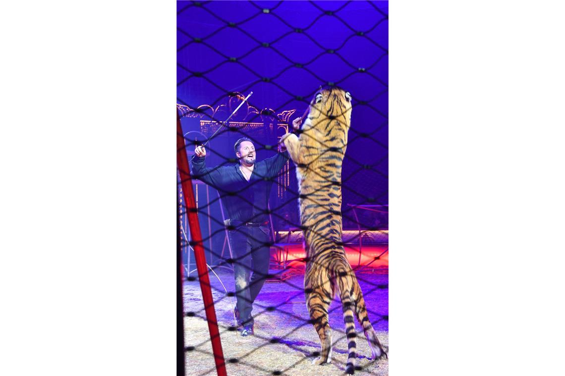 Ob die Aktion damit im Zusammenhang stand, ... (Archiv)