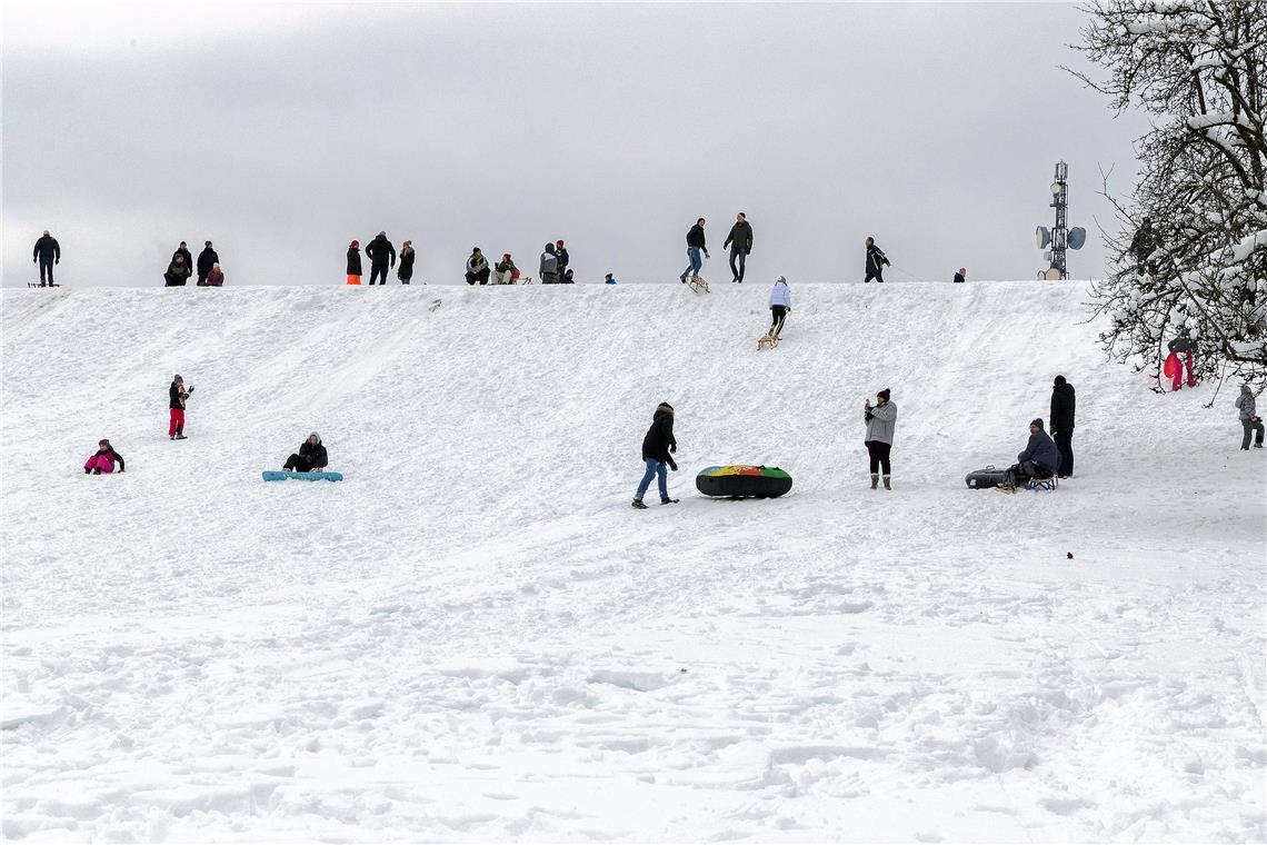 Ob Holzschlitten oder Plastikrutscher, Tüten oder Schläuche vom Lkw-Reifen: In Großerlach auf dem Rodelhang kommen die Schneefreuden bei niemandem zu kurz. Fotos: J. Fiedler