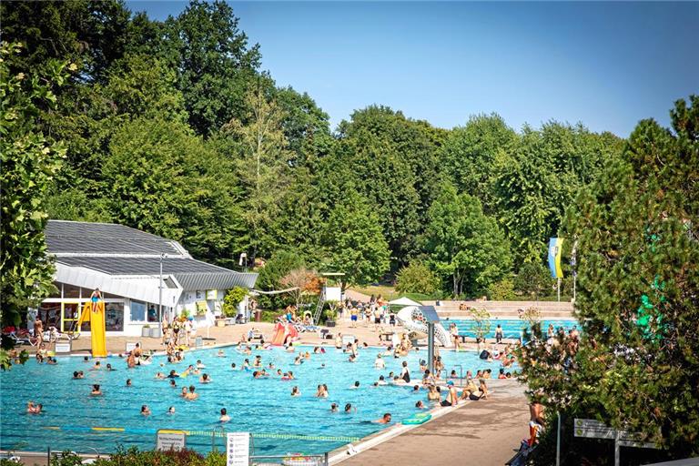 Ob im Wonnemar, am Murrufer, in der Sankt-Johannes-Kirche oder am Waldsee in Fornsbach – an heißen Tagen findet man dort garantiert Abkühlung. Fotos: Alexander Becher