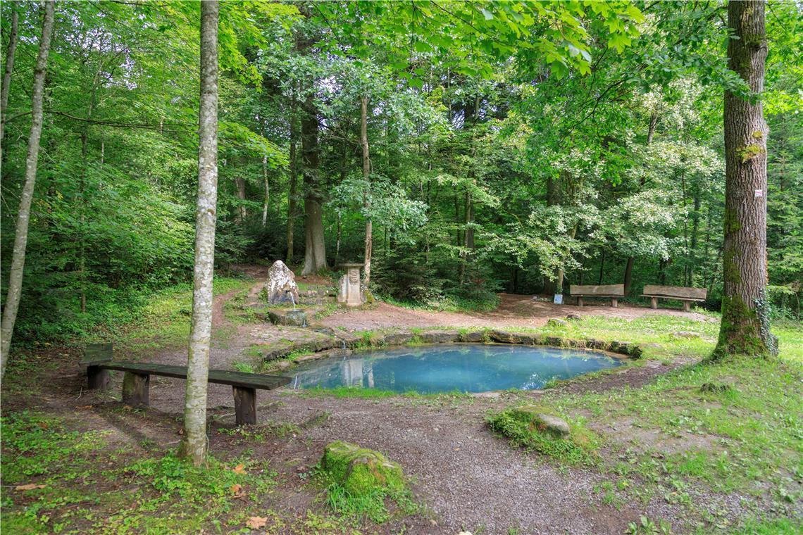 Die schönsten Orte zum Verlieben Ob man an diesem Ort wohl auf den Froschkönig trifft? Foto: Stadt Backnang