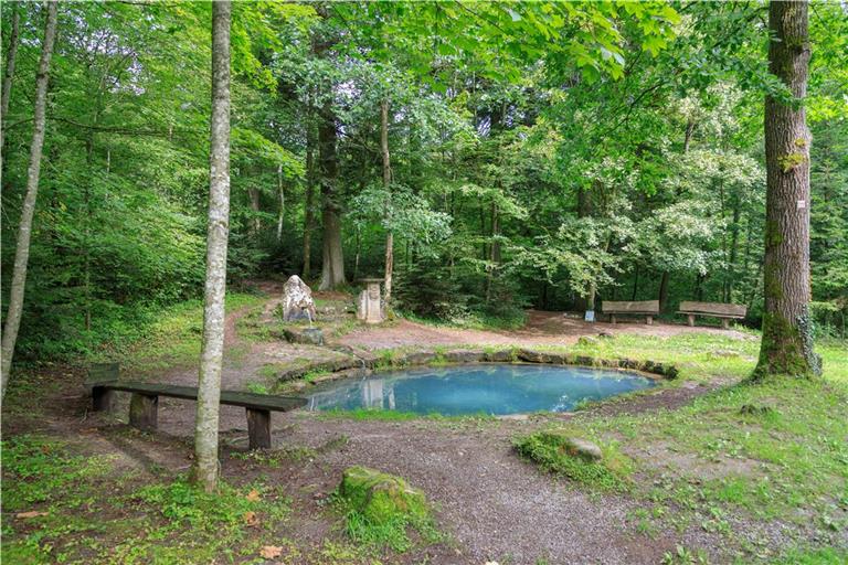 Ob man an diesem Ort wohl auf den Froschkönig trifft? Foto: Stadt Backnang