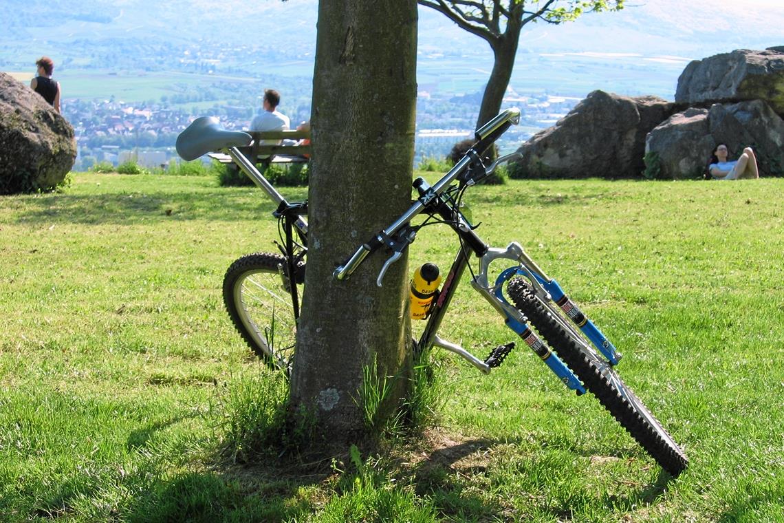 Datenqualität statt Routenwildwuchs Ob Radler, Wanderer oder Spaziergänger: Q-vadis will alle Interessensgruppen in der Region bedienen. Foto/Grafik: Schwäbischer Wald Tourismus