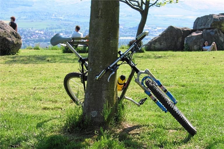 Ob Radler, Wanderer oder Spaziergänger: Q-vadis will alle Interessensgruppen in der Region bedienen. Foto/Grafik: Schwäbischer Wald Tourismus