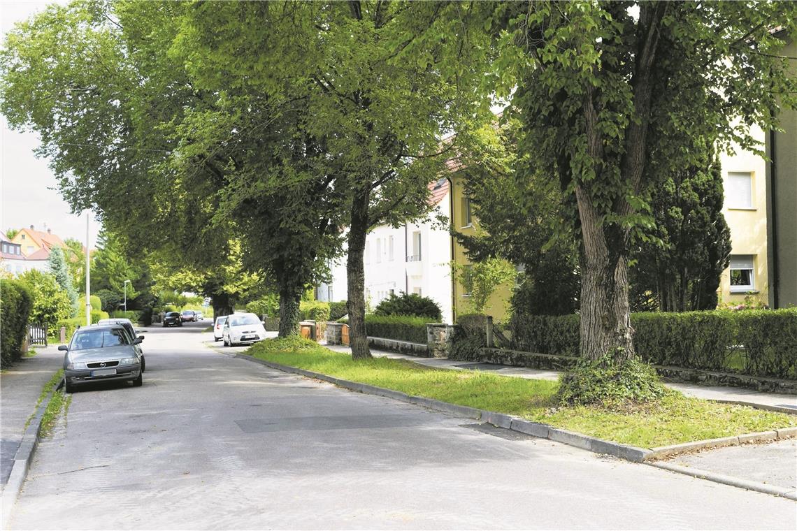 Sanierung der Röntgenstraße beginnt im Frühjahr