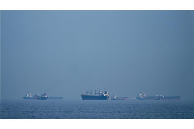 Öltanker und Frachtschiffe reihen sich in der Straße von Hormus auf (Archivbild).