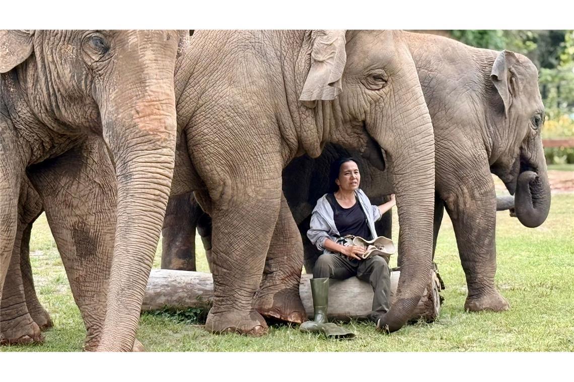 Oft singt Lek ihren Elefanten Schlaflieder, um sie zu beruhigen.