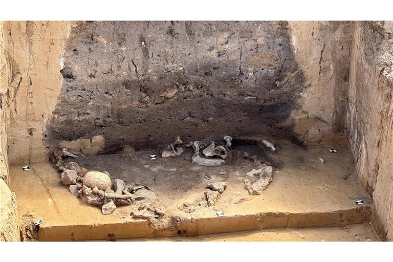 Opfergrube der Salzmünder Kultur mit Hundeknochen, zwei menschlichen Schädeln, Brandlehm von einem Haus und einem Hornzapfen.