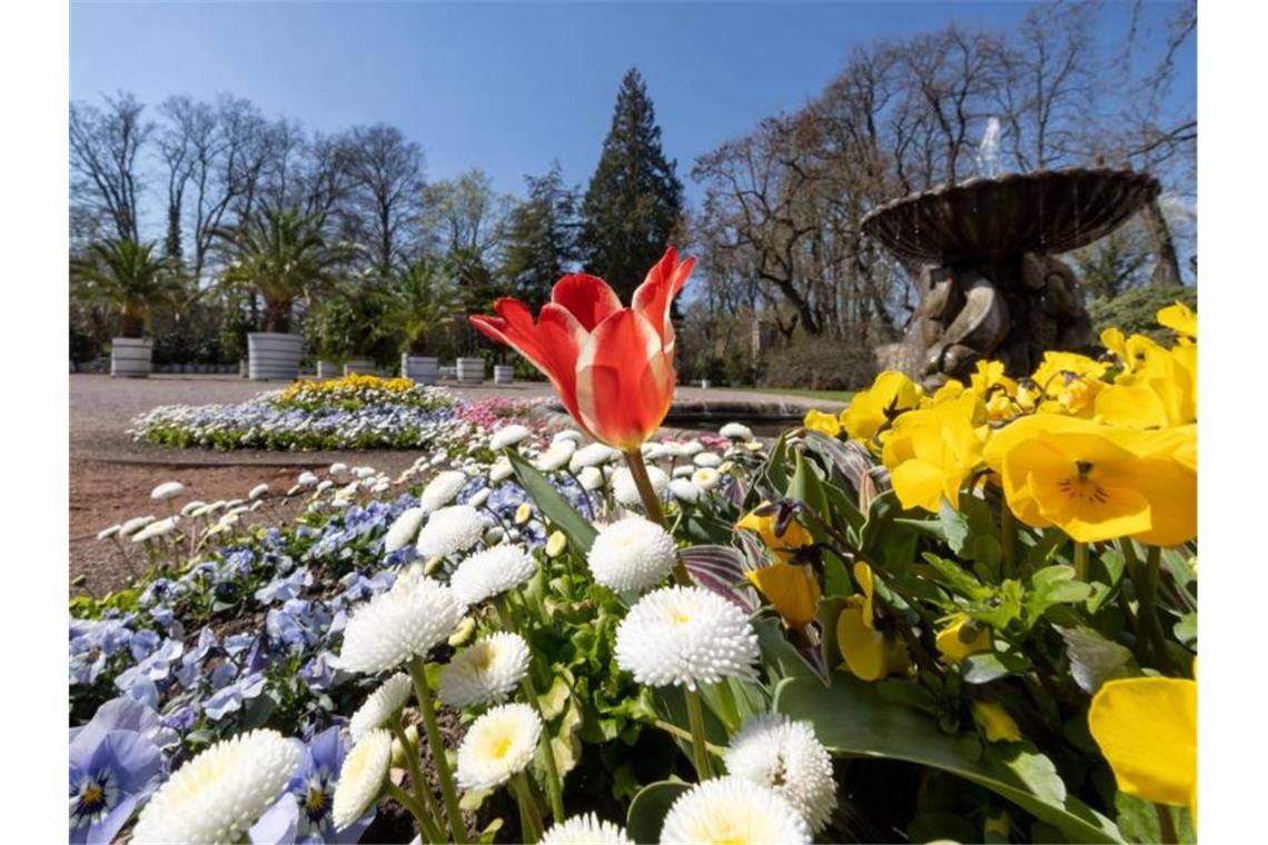 Bundesgartenschau in der Corona-Krise Orangerie sowie Lust- und Irrgarten gehört zu den 25 Außenstandorten der BUGA2021. Foto: Michael Reichel/dpa