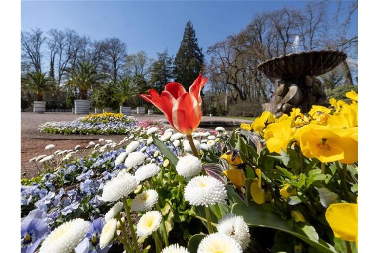 Orangerie sowie Lust- und Irrgarten gehört zu den 25 Außenstandorten der BUGA2021. Foto: Michael Reichel/dpa