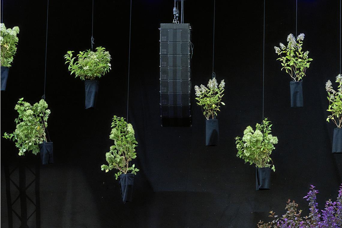 Die hängenden Gärten von Backnang Originelle Idee: Der Blumenschmuck schwebt von der Decke.