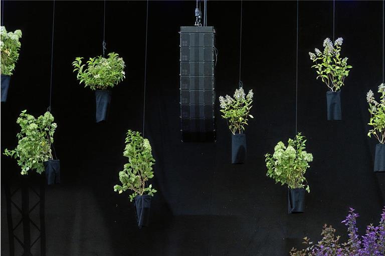 Originelle Idee: Der Blumenschmuck schwebt von der Decke.