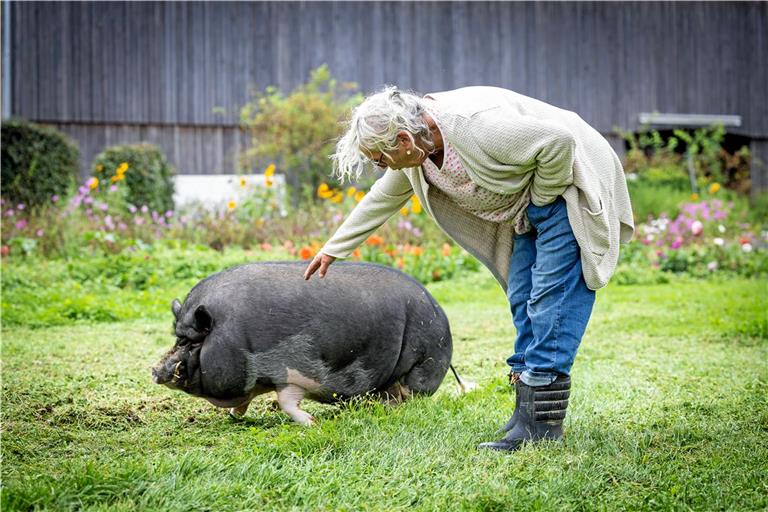 Oskar lebt zusammen mit seiner Gefährtin Rosi auf dem Biolandhof von Andrea und Georg Adrion in Mittelschöntal. Fotos: Alexander Becher