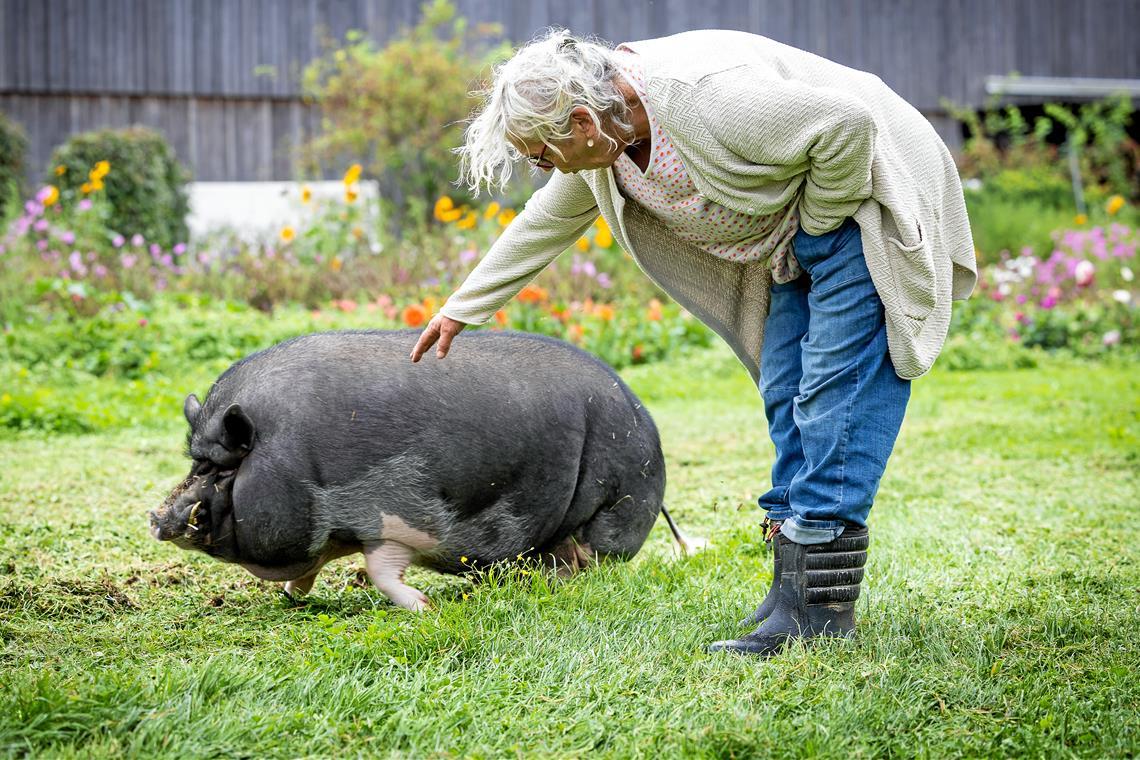 Oskar lebt zusammen mit seiner Gefährtin Rosi auf dem Biolandhof von Andrea und Georg Adrion in Mittelschöntal. Fotos: Alexander Becher
