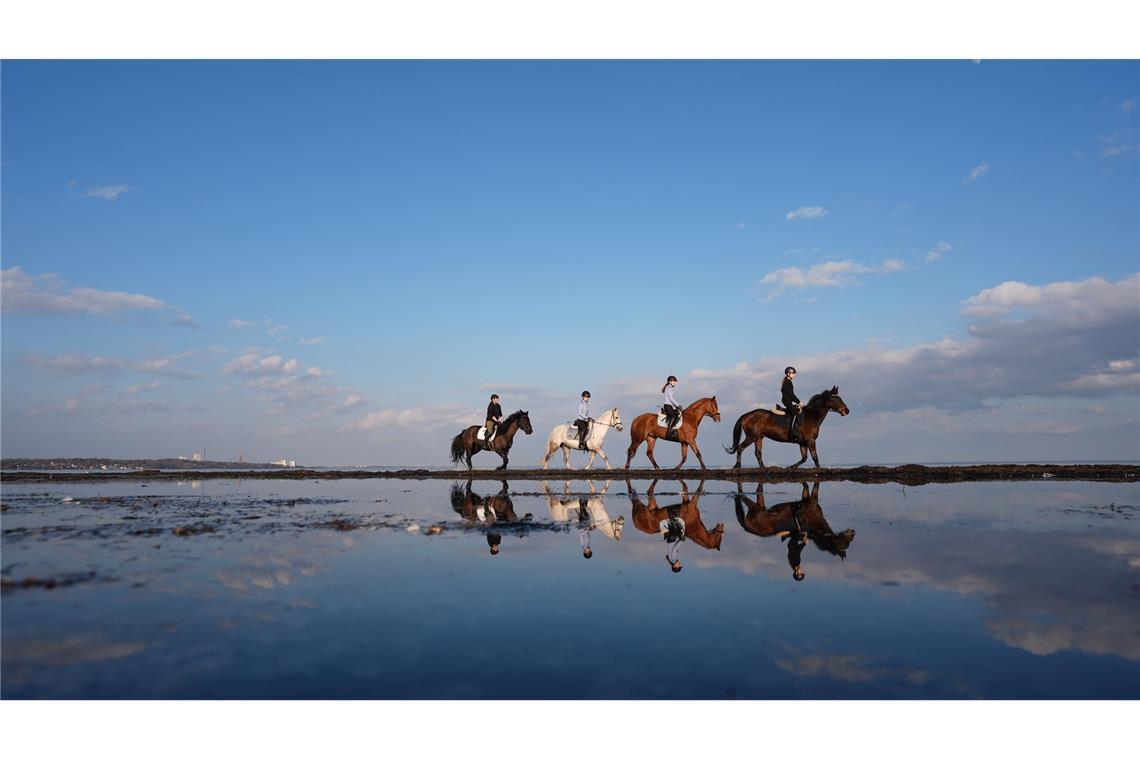 Ostseereiter am Strand