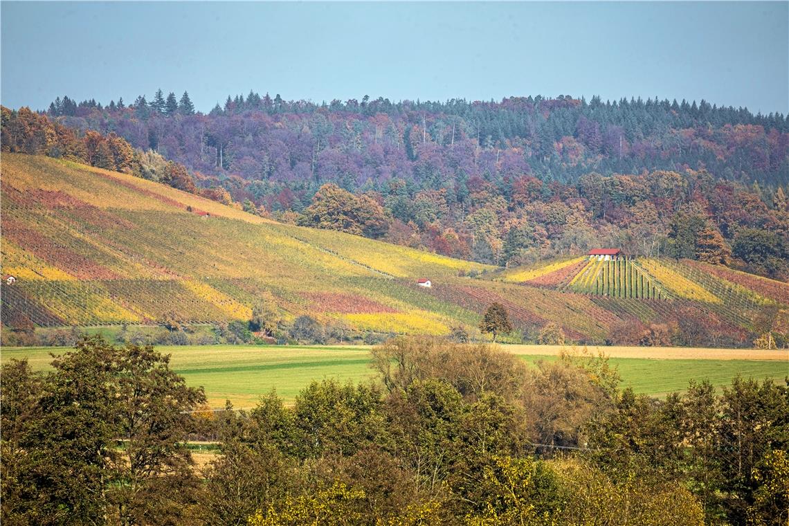 Outdoor-Fans durften sich im zurückliegenden Oktober über bunte Weinberge und viele sonnige Wochenenden freuen. Foto: A. Becher