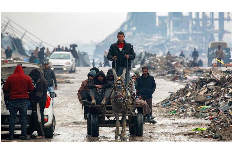Palästinenser im Norden des Gazastreifens fahren auf einem Eselskarren.