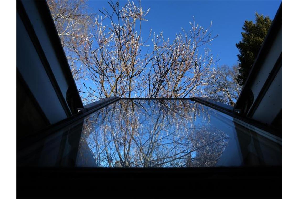 Palmkätzchen vor blauem Himmel spiegeln sich im offenen Dachfenster eines Hauses. Foto: Karl-Josef Hildenbrand/dpa