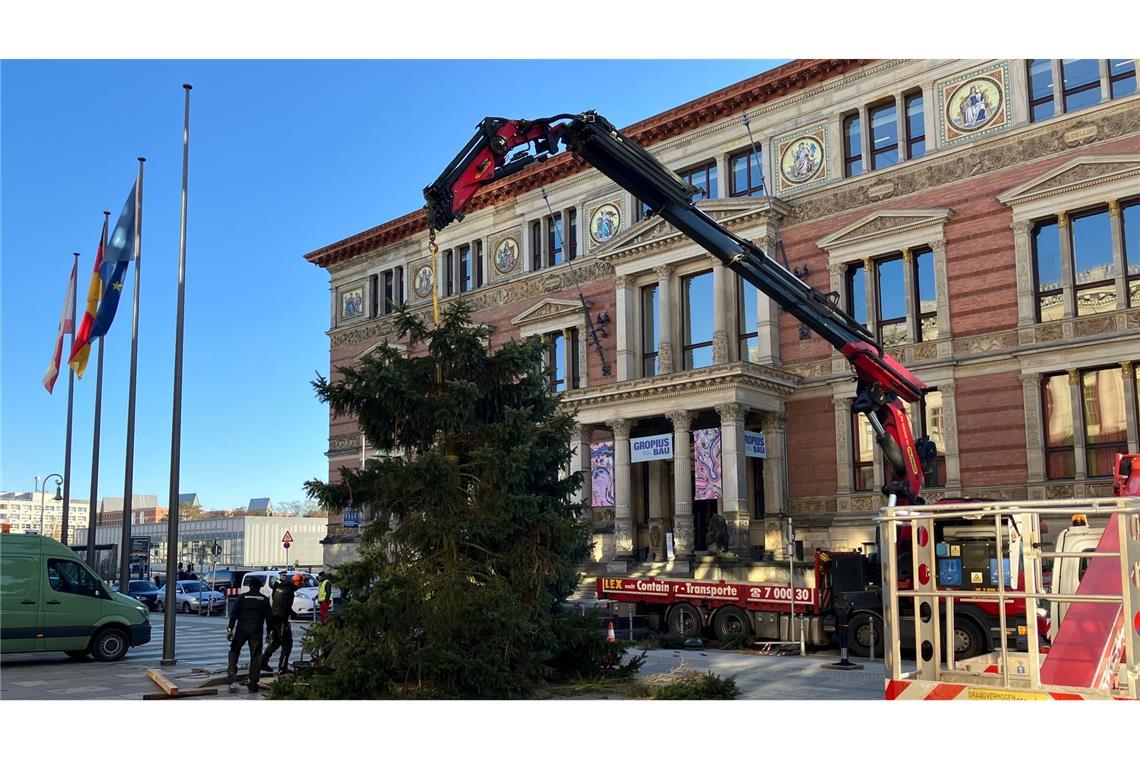 Pannen mit Weihnachtsbäumen sind in Berlin keine Seltenheit.