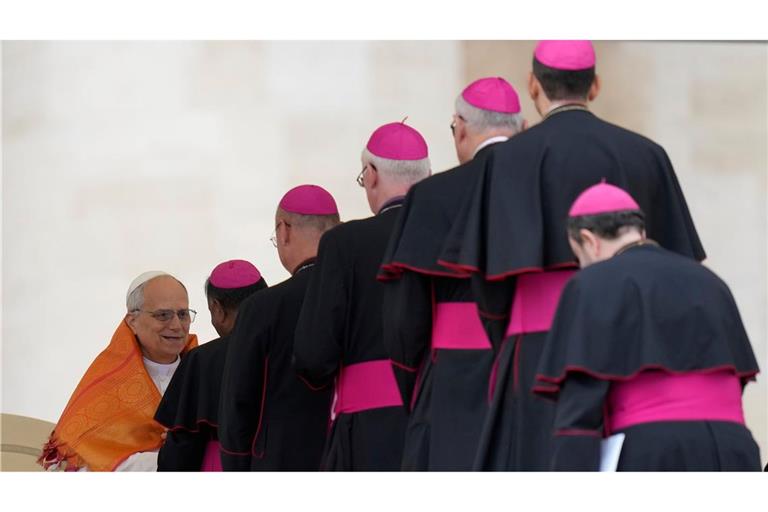 Papst Leo XIV. begrüßt Bischöfe nach erster Generalaudienz