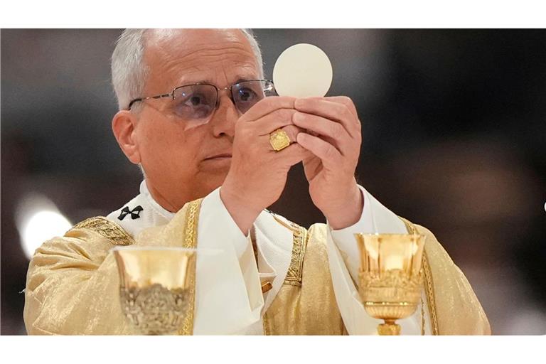 Papst Leo XIV. ist seit bald einem Jahr im Amt.
