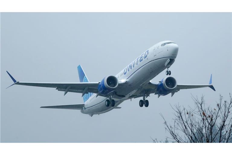 Passagierflugzeug muss nach Sicherheitsvorfall zwischenlanden. (Archivbild)