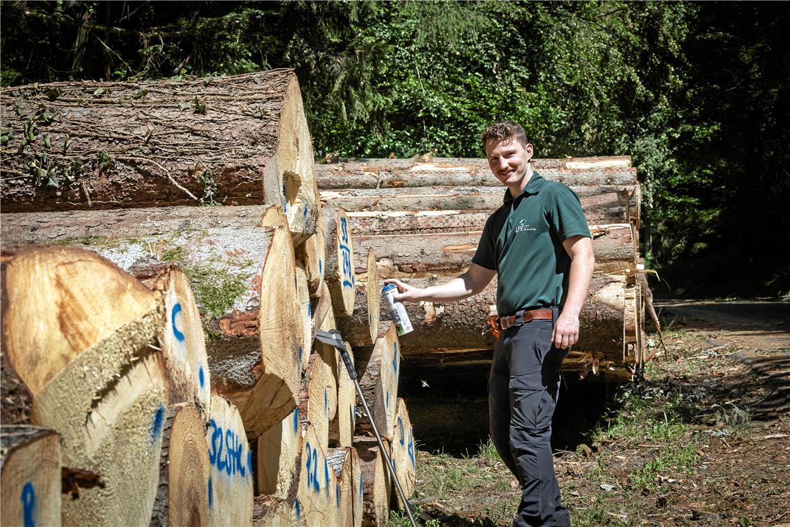 Paul Häberlein kennzeichnet die Holzernte. Er freut sich, dass er helfen kann, den wertvollen Rohstoff, in dem Kohlenstoff gebunden ist, für den Innenausbau oder zur Herstellung von Möbeln zur Verfügung zu stellen. Fotos: Alexander Becher