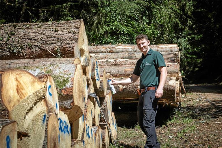 Paul Häberlein kennzeichnet die Holzernte. Er freut sich, dass er helfen kann, den wertvollen Rohstoff, in dem Kohlenstoff gebunden ist, für den Innenausbau oder zur Herstellung von Möbeln zur Verfügung zu stellen. Fotos: Alexander Becher