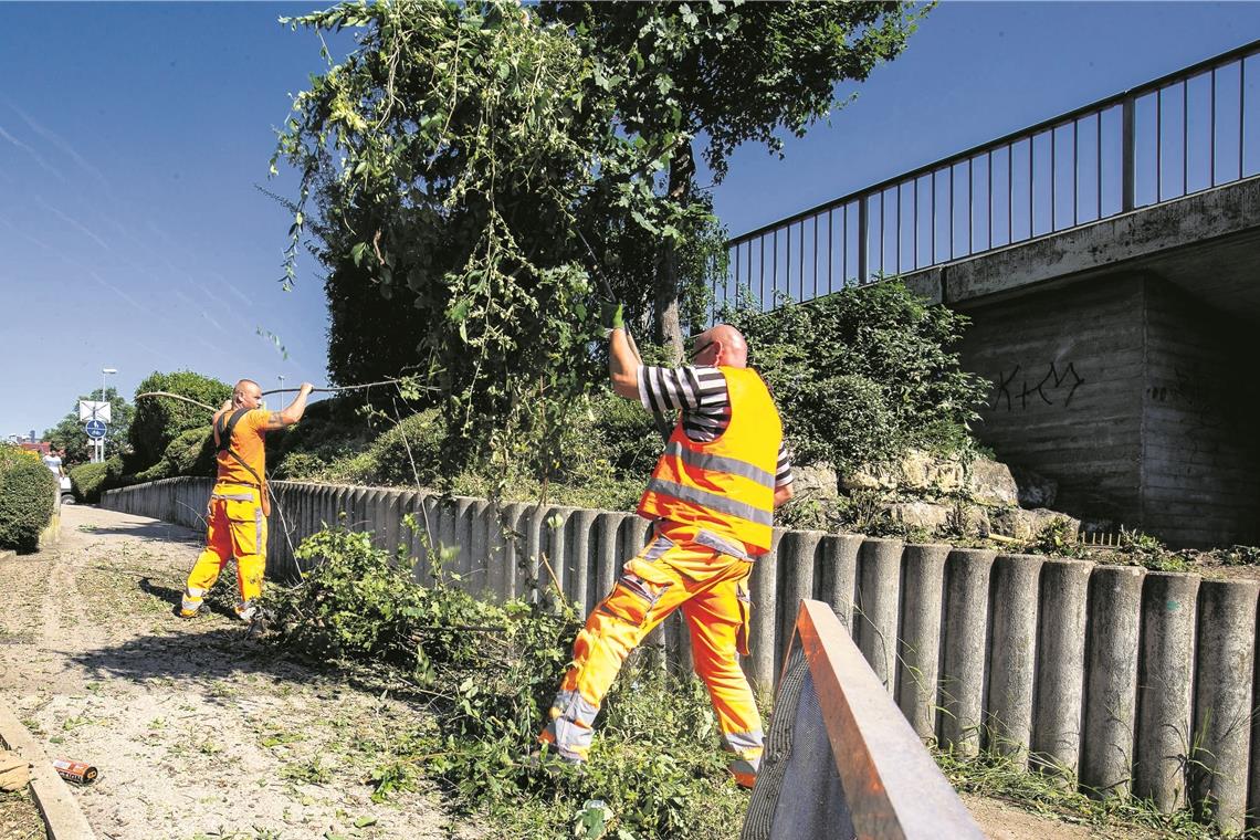 Paul Maronic (links) und Manu Berwick sorgen dafür, dass die Grünanlagen in Backnang gepflegt und sauber aussehen. Fotos: A. Becher