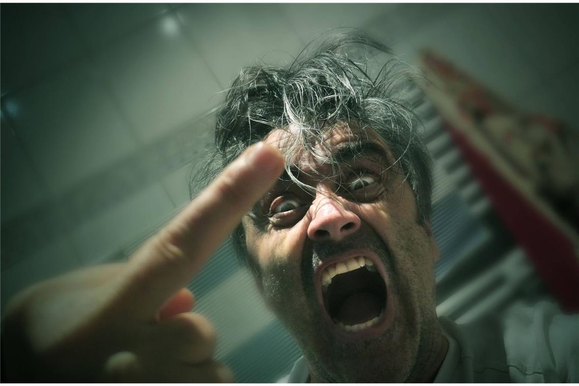 „Penner“, „Scheißkerl“, „Sackgesicht“, „Drecksau“, „Arschloch“: Der Stinkefinger gehört augenscheinlich für viele Choleriker  zum Leben dazu wie die Luft zum Atmen.