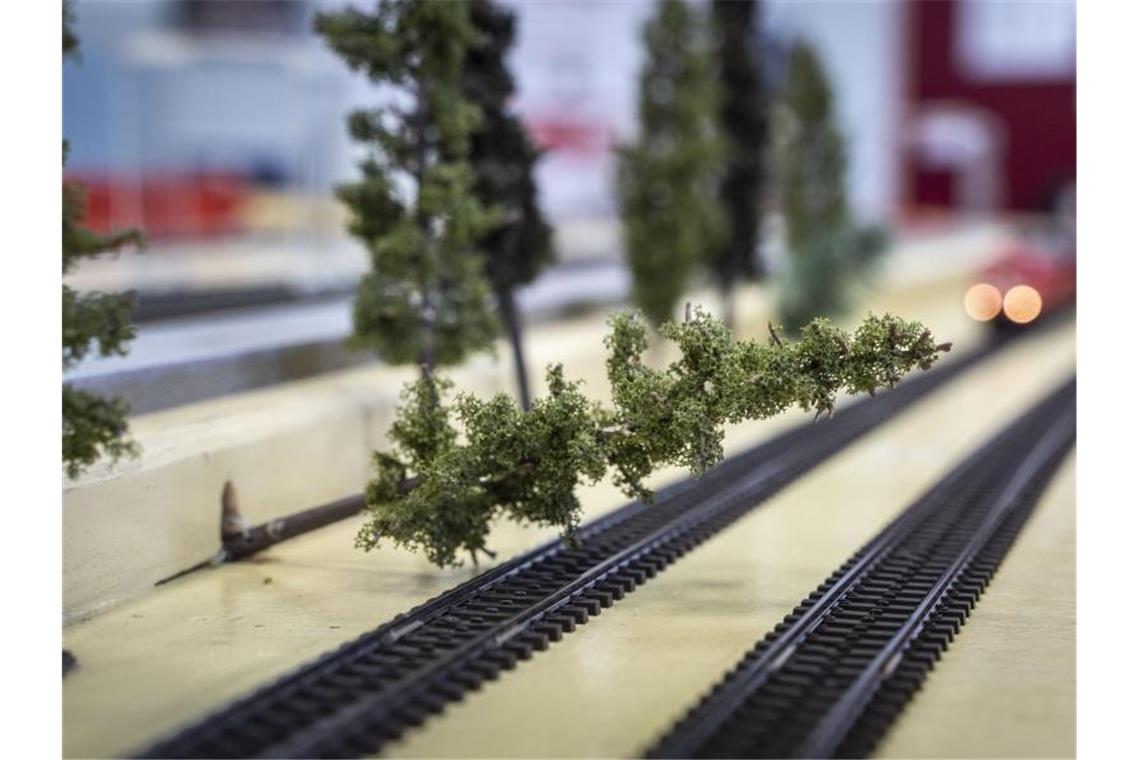 Per Fernbedienung lassen sich auf der Modellanlage im Eisenbahnbetriebsfeld Darmstadt (EBD) auch Bäume über die Strecke legen, um unerwartete Szenarien darstellen zu können. Foto: Frank Rumpenhorst/dpa