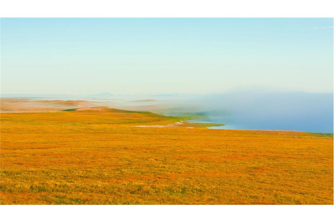 Tauender Permafrost trieb CO2-Anstieg nach der Eiszeit Permafrost in der sibirischen Tundra.