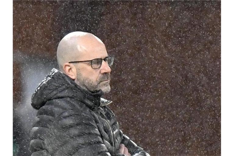 Peter Bosz, Trainer von Leverkusen. Foto: Martin Meissner/AP POOL/dpa/Archivbild